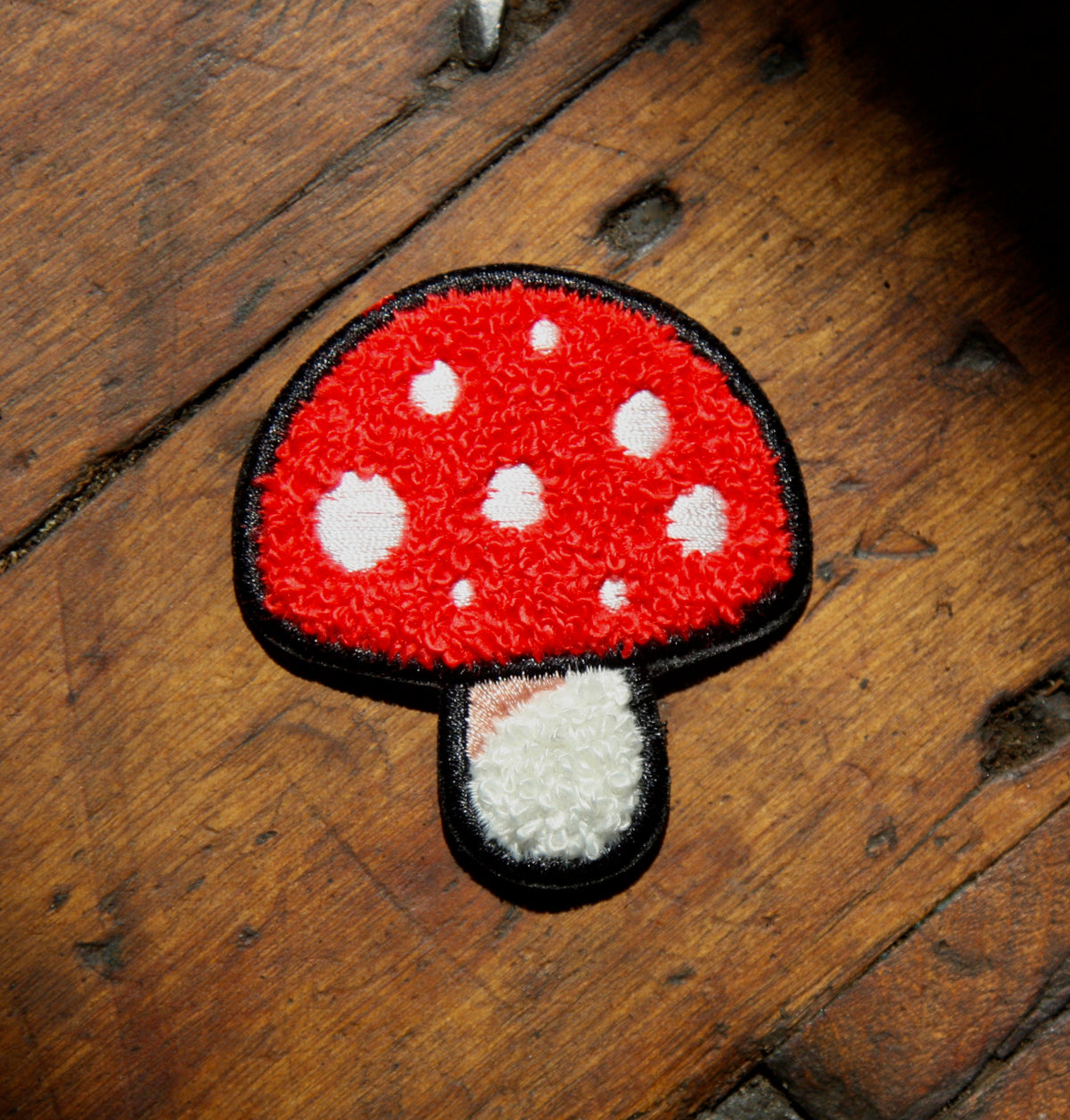 mushroom　0421 IMG_0936_1200x.jpg?v=1689177779